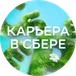 Карьера в Сбере